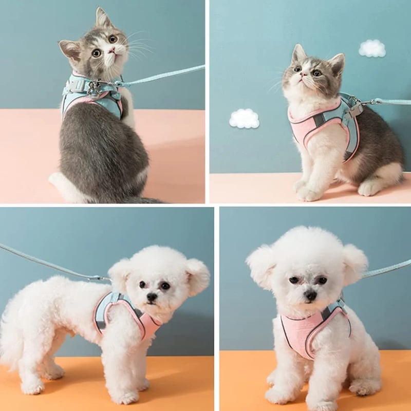 Kattväst och bälteskit Husdjur Dragrep Sele Koppel Halsband Justerbar Dubbellagers Hundsele Smådjur Utomhus Halsband Koppel