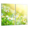GLASS CUTTING BOARD 2x 30x52 FLOWERS
