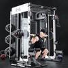 Desert Spring All-in-One Smith Machine & Squat Rack