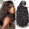 12A Water Wave Peruvian Remy Human Hair Bundles 1/3/4 Bundle Deal Wet And Wavy Curly Hair Raw Hair Weave Extensions