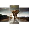 Three Piece Picture Canvas Print Elephant On the Road