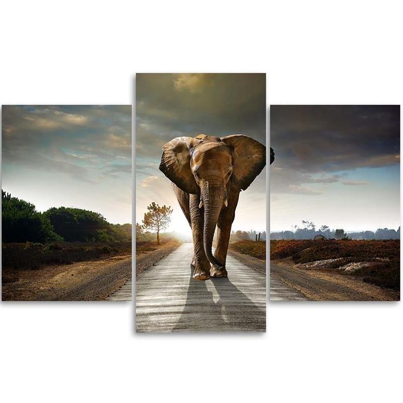 Three Piece Picture Canvas Print Elephant On the Road