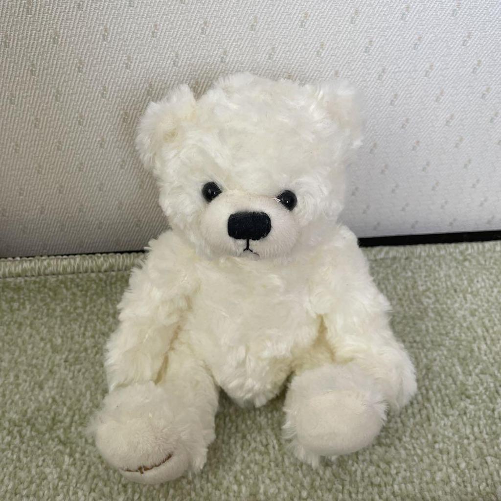 [USED] White Teddy Bear