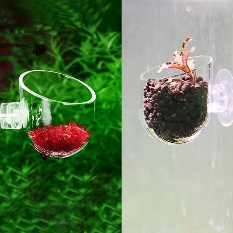 Aquariums Feeding Bowl Set Of 10 Clear Suction Cup Plant Holder For Shrimp And Small Fish Feeding Accessories