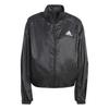 Womens/Ladies Traveer WIND RDY Wind Jacket