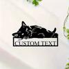 Charming Custom Cat Monogram Door Hanger, Metal Pet Sign, Spring Summer Decor, Mothers Day Gift