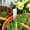 100pcs Plastic Plant Labels Reusable Garden Plants Marker Waterproof Plastic Nursery Plaques For Plants Tags Markers