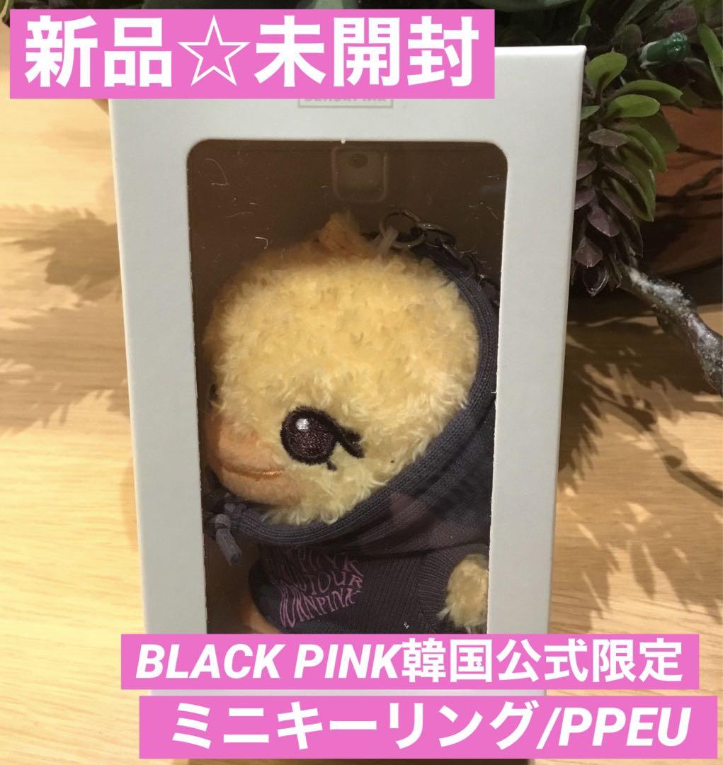 

[USED] BLACK PINK Seoul Concert Final Goods/Mini Key Ring/LISA