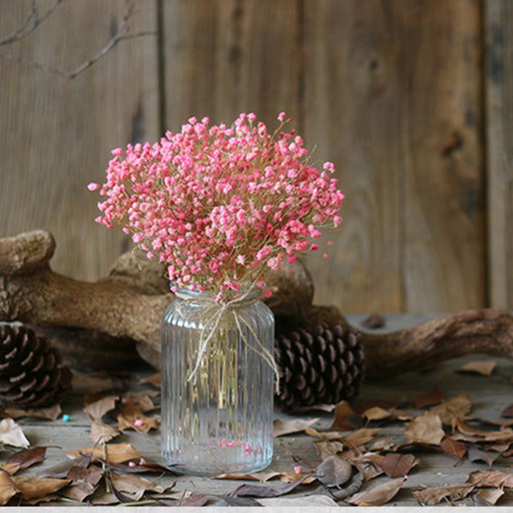 Natürliche Trockenblumen Schleierkraut Heimdekoration Natürliche Trockenblumen Volle Sterne