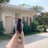 Sweet Narcissus Camellia Knit Dress with Lace Ruffle Collar & Flowy Gauze Skirt