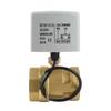 Válvula de Esfera Motorizada Elétrica de Latão de 2 Vias e 3 Fios DN50 2 Polegadas AC220V