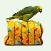 Fashion Pet Bird Parrot Cages Windproof Hammock Hut Tent Bed Hanging Cave