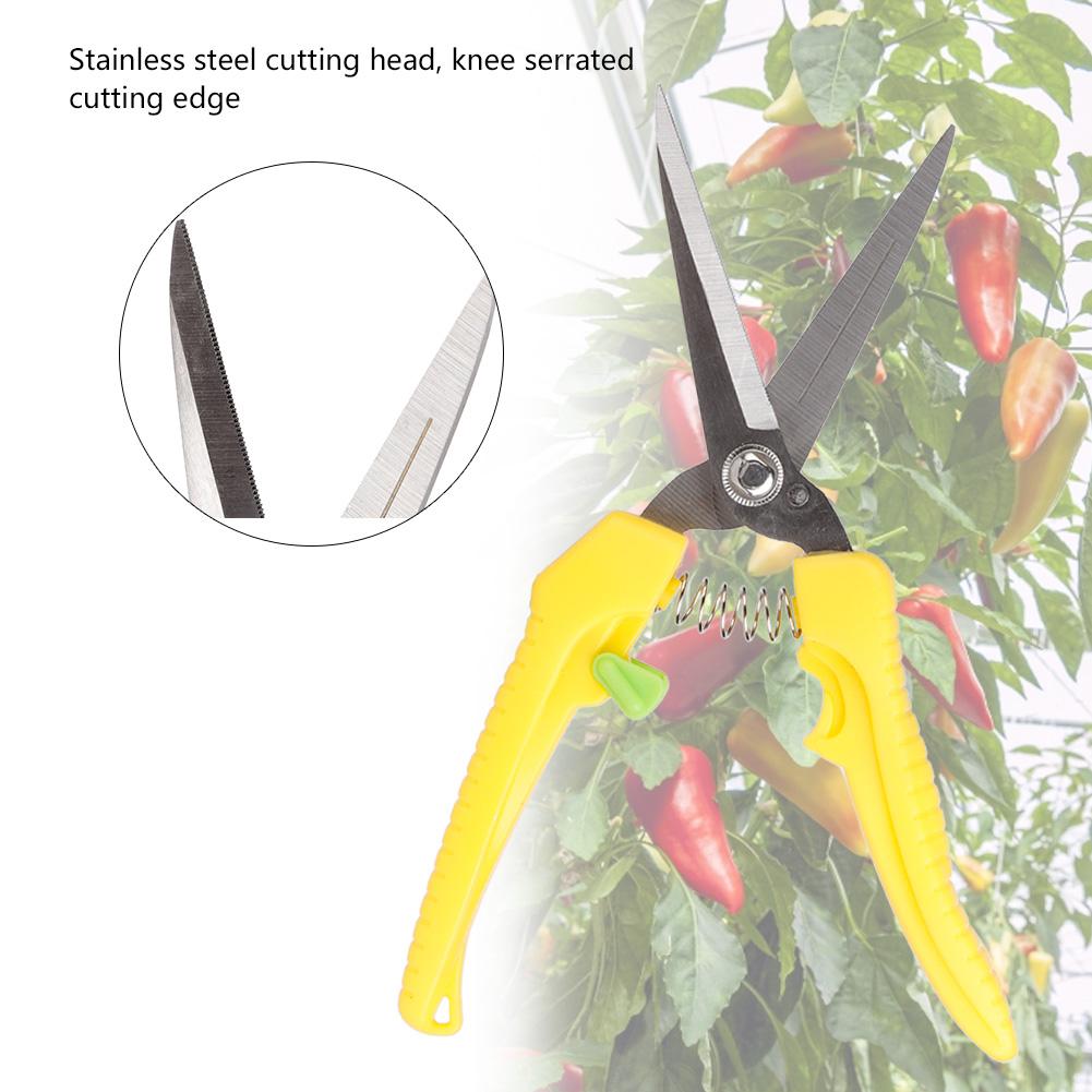 205mm Plant Pruning Scissors Garden Bonsai Flower Fruit Trimming Cutter Shears