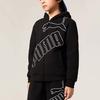 Puma Sportstyle Series Logo Fleece Warm Hooded Long Sleeve Jacket Kids jackets Black 353924105204-90001