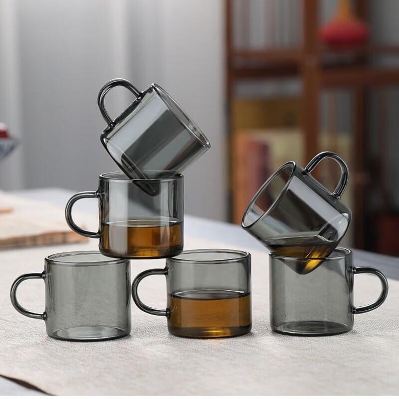 Heat-Resistant High Borosilicate Glass Tea Cups (Set of 6)