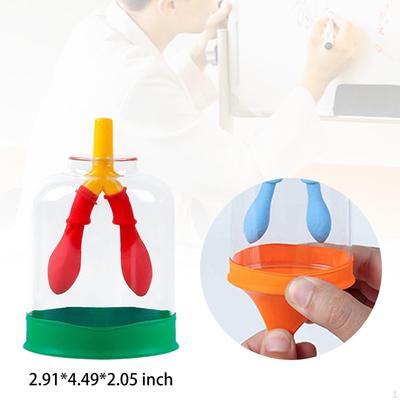 Modelo de Demostración de Función Pulmonar Ayuda Didáctica para el Aula Dispositivo de Simulación de Respiración DIY para Edades 8+