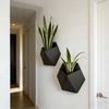 3D Printed Hexagonal Flower Pot Wall-Mounted Succulent Plant Basin  Green Plant Placement