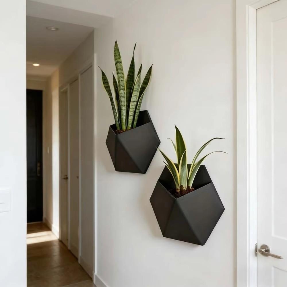 3D Printed Hexagonal Flower Pot Wall-Mounted Succulent Plant Basin  Green Plant Placement