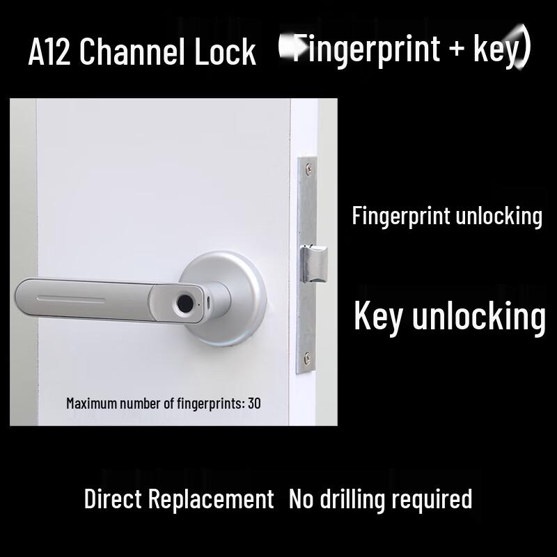 Dalan Smart Fingerprint Fire Door Lock Standard