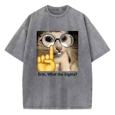 T-shirt Chat Meme Drôle Coton Lavé Vintage T-shirt Graphique Streetwear Décontracté Printemps Été Automne Haut Tee