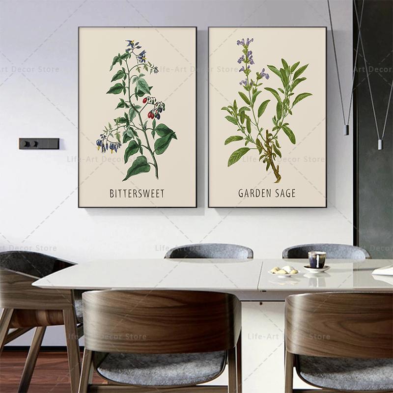 Roślina, kwiat, badania, plakat retro, druk botaniczny, plakaty ziołowe, obraz vintage na płótnie, obraz na ścianę do salonu,