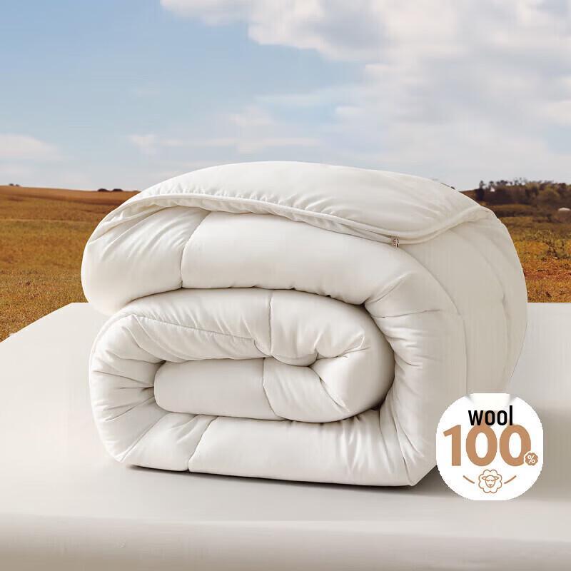 

Mercury Home Textiles 100% Australian Wool All-Season Anti-mite Duvet 220x240cm