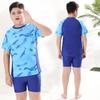 2025 Boys' Summer Swimsuit Set: Stylish Split Swimwear & Trunks for Teens and Kids