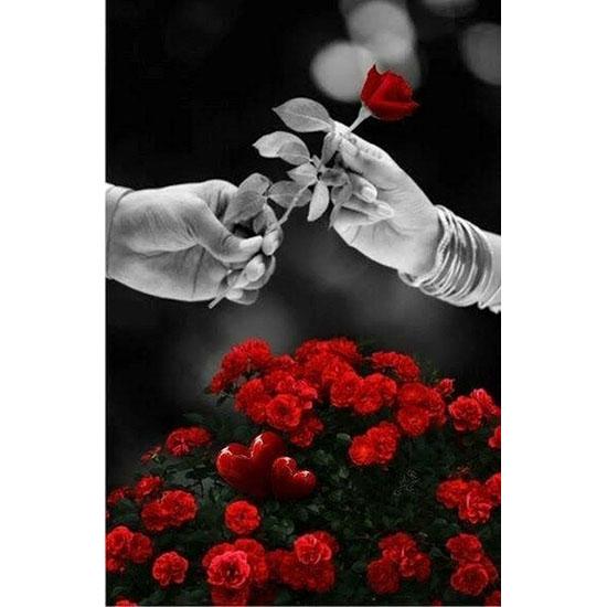 huacan Diamant Mozaic Flori Strasuri Diamant Broderie Diamant Pictură Floral Trandafir