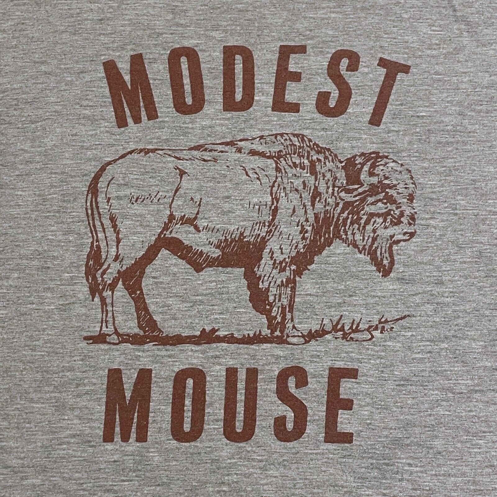 Modest Mouse Серая футболка Bitter Buffalo E345 XXL