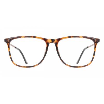 Full Rim Square Tortoise Smartbuy Collection Shire Cp142b Fashion Unisex Eyeglasses