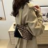 Trendy Fall Season Korean Version Small Square Crossbody Bag For Women