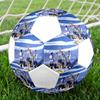 Pallone da Calcio Brighton FC, colorato, adatto a tutte le età, cucito a macchina, materiale PVC, qualità da competizione, durevole e ad alto rimbalzo