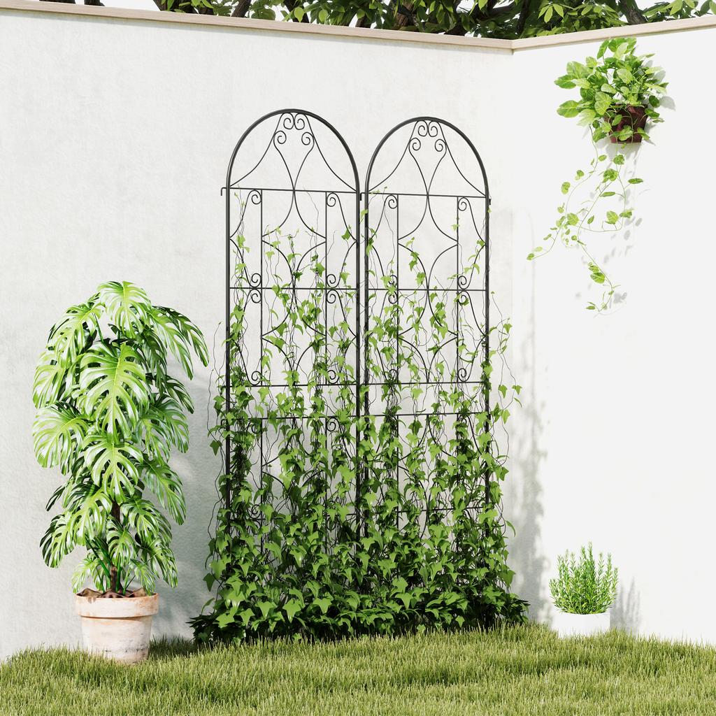 Set of 2 Garden Trellis Climbing Plant Supports, Metal, 50 X 180 Cm, Black