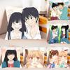 Amine KKimi Ni Todoke Case Plush Fabric Soft Pillowcase Double Sided Print Cushion Cover Household Gifts