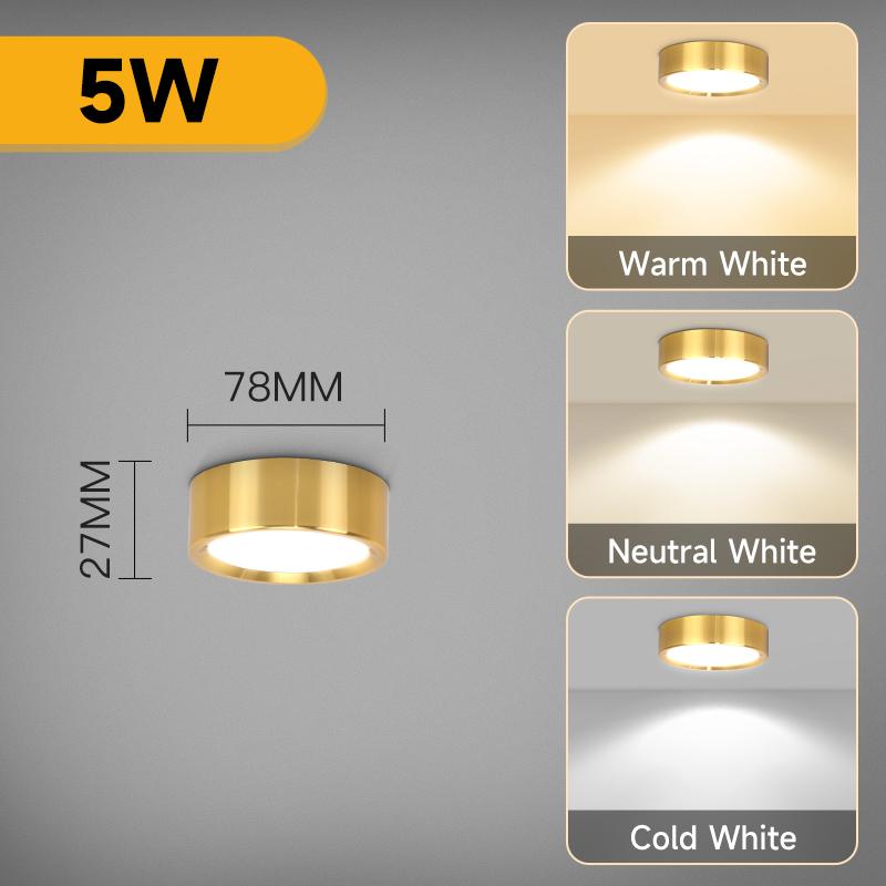 Wood Grain Gold LED Downlight 3 Colors Ceiling Light Spot Led Light Ultra Thin Panel Lamp for Living Room Home Decor