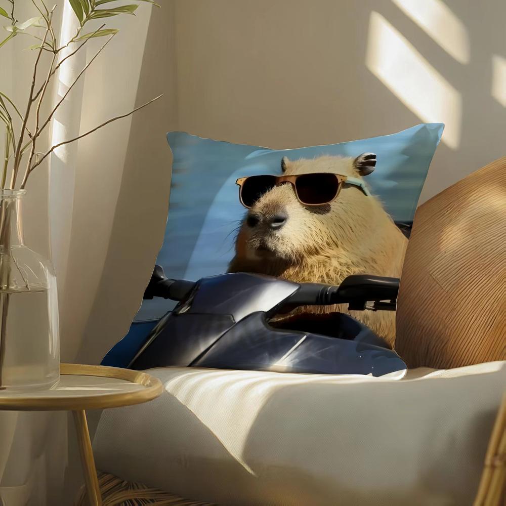 Funny And Interesting Animals Funs Pillow Case Double-Sided Plush Sofa Cushion Covers Organic Breathable Invisible Zipper