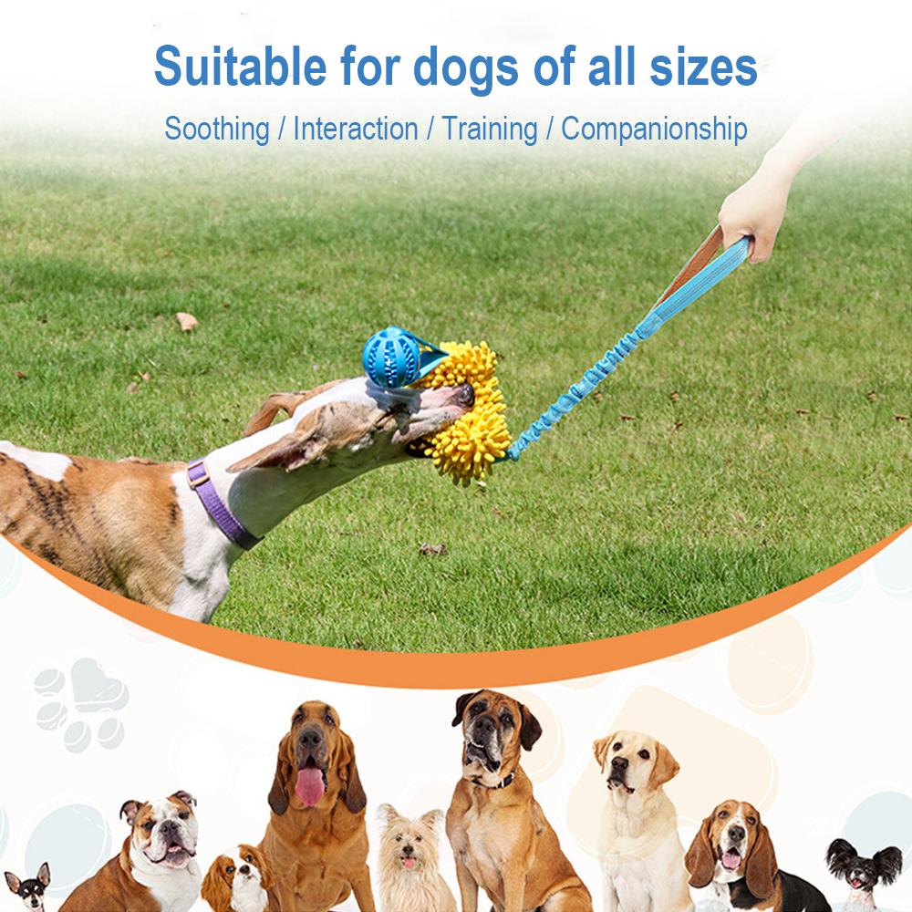 Pet Toys Teeth Grinding Pet Supplies Dog Teeth Grinding Outdoor Training Elastic Pulling Rope Interactive Hidden Food
