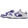 Nike Dunk Low 'Flip The Old School' Women's Skate Shoes Sneakers DJ4636-100