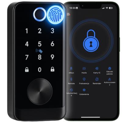 Electronic Lock with A228 TTLock Insert