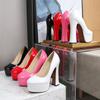 Scarpe col tacco alto da donna di lusso Nuovi 14 cm Modello Scarpa Moda Passerella Autunno Punta Tonda Taglia Grande 35-46 Marca Scarpe Scarpe per Donna Zapatos