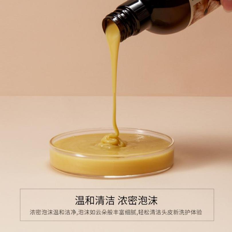 Images Shampoing au Gingembre Doux Hydratant Rafraîchissant Souple et Nourrissant Polygonum Multiflorum
