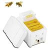 Foam Hive Bees Mating Box Beekeeping Tool Sturdy Accessories Professional Practical Foam Bees Breeding Box Development