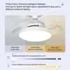 Fan Light Memory Function LED Fan Light Low Noise Color Temperature Adjustable Stepless Dimming Remote Control for Bedroom