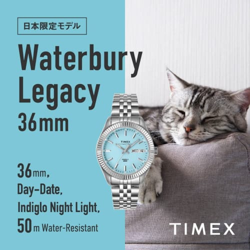 Timex Watch WATERBURY LEGACY Japan Limited 36MM Waterbury Legacy TW2V66500 Silver