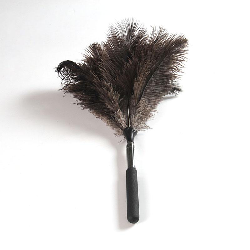 Feather Duster Wooden Handle Duster Anti-static Dust Removal for High Ceiling & Home Cleaning Gentle on Delicate Surface
