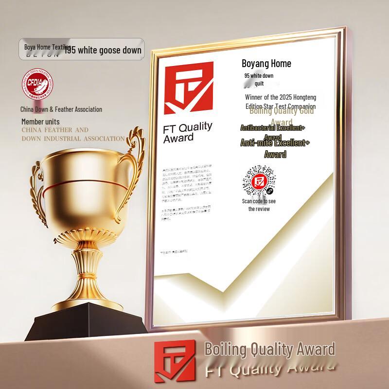 Boya Home Textiles A-Class Antibacterial 95% White Goose Down Duvet