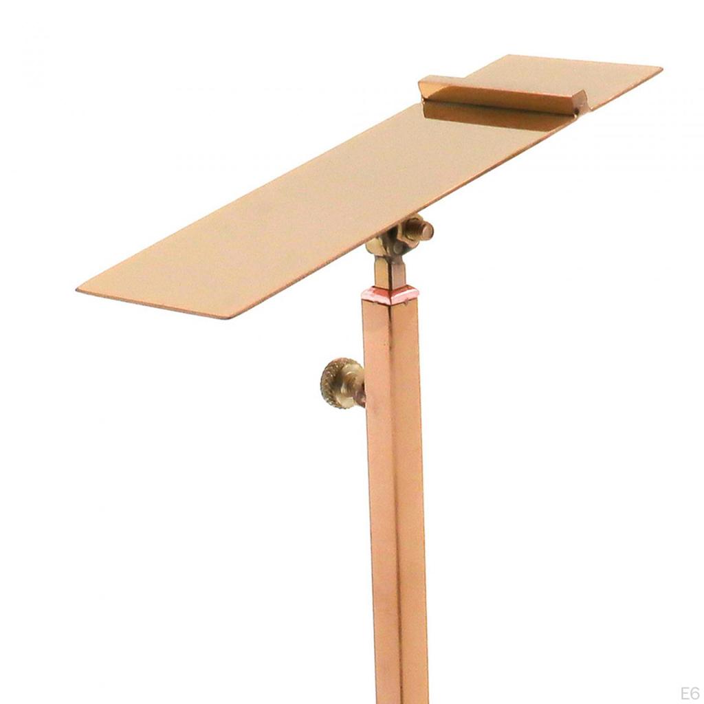 Leather Shoe Display Stand, Adjustable Sales Shelf, Window Stand for Sandals, High Heels,