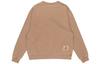 Jordan Sweatshirt Fall Men's Camel DO2308-256