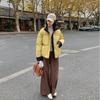 Autumn Winter Thicken Warm Parka Women Casual Solid Color Loose Short Jackets Outwear