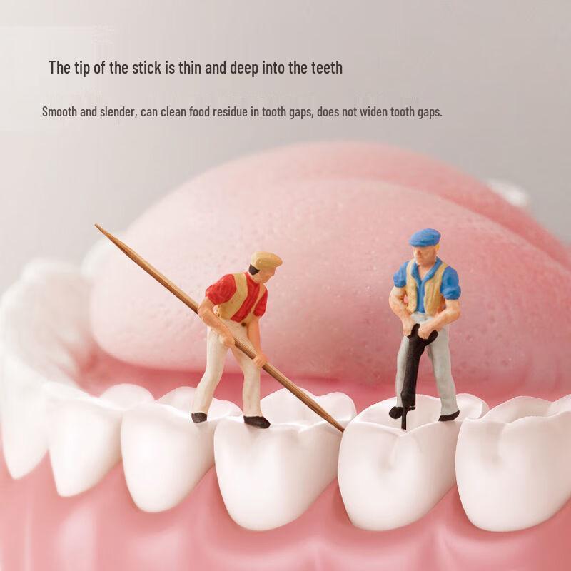 Chahua Carbonized Double-Ended Bamboo Toothpicks